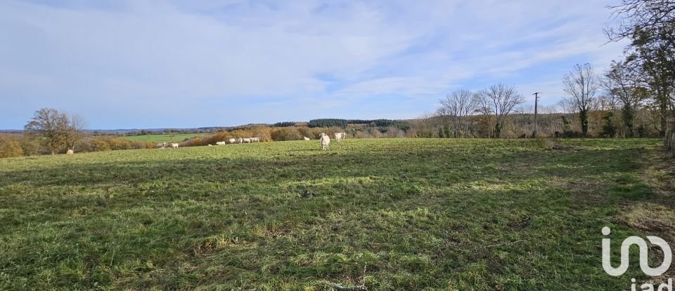 Terrain de 2 500 m² à Saint-Michel-de-Veisse (23480)