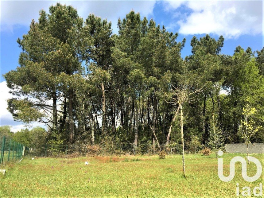 Terrain de 590 m² à Bussac-Forêt (17210)