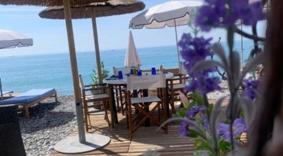 Restaurant de 1 087 m² à Cagnes-sur-Mer (06800)