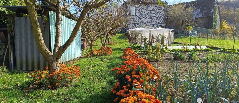 Maison 4 pièces de 56 m² à Saint-Martin-Valmeroux (15140)