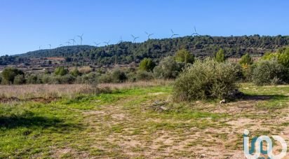 Land of 1,153 m² in Mailhac (11120)