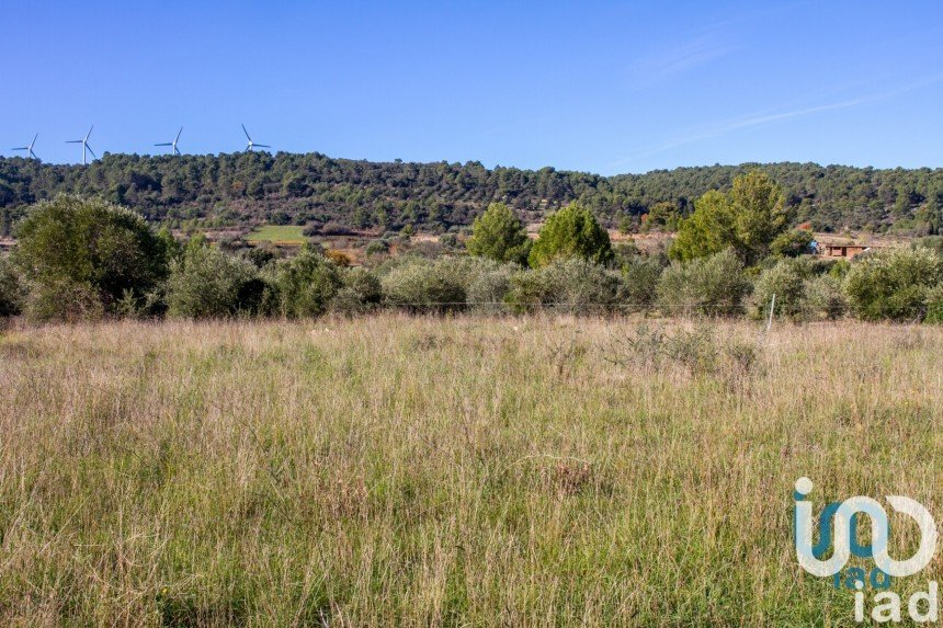 Land of 1,060 m² in Mailhac (11120)