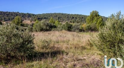 Land of 1,194 m² in Mailhac (11120)