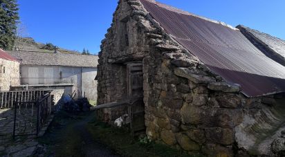 Maison de campagne 3 pièces de 63 m² à Pont de Montvert - Sud Mont Lozère (48220)