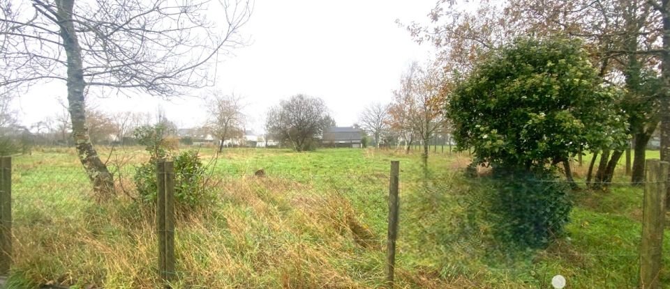 Terrain de 2 940 m² à Sainte-Anne-sur-Brivet (44160)