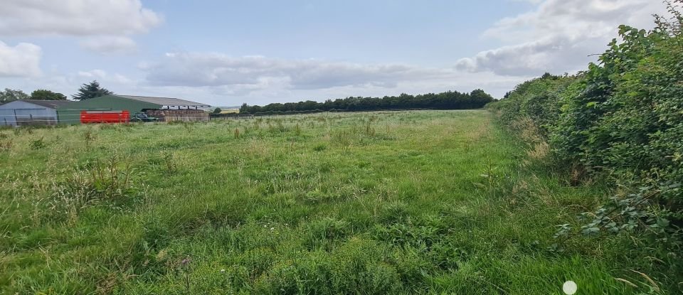 Longère 7 pièces de 156 m² à Callengeville (76270)