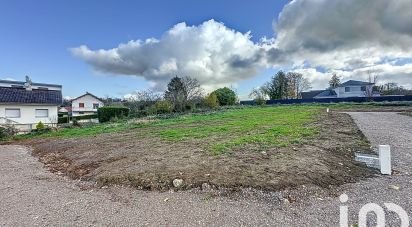 Terrain de 981 m² à Montferrand-le-Château (25320)