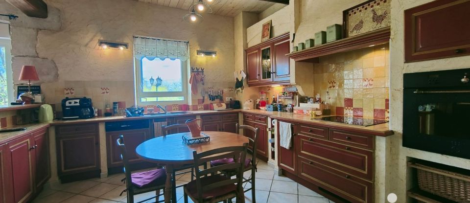 Maison 8 pièces de 205 m² à Alignan-du-Vent (34290)