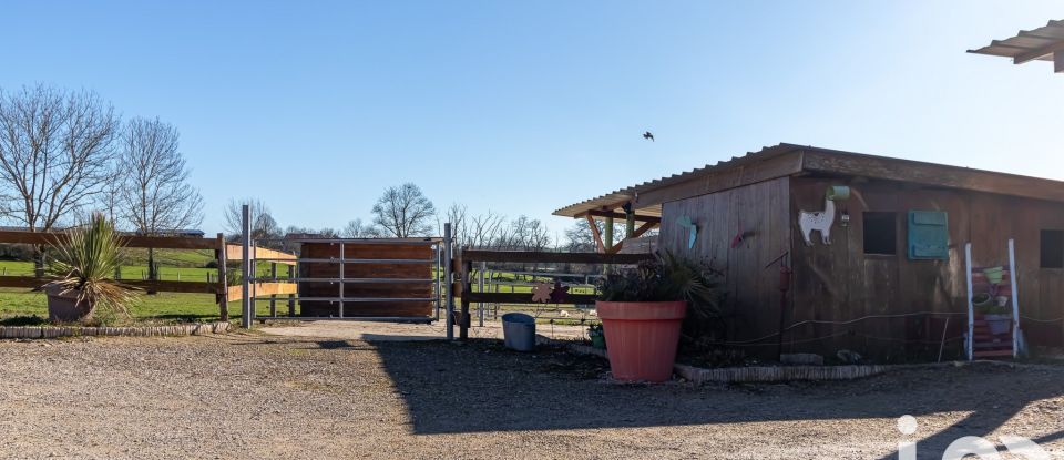 Farm 5 rooms of 155 m² in Montgaillard (81630)