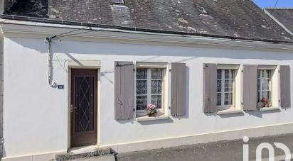 Maison traditionnelle 3 pièces de 94 m² à Ternay (41800)