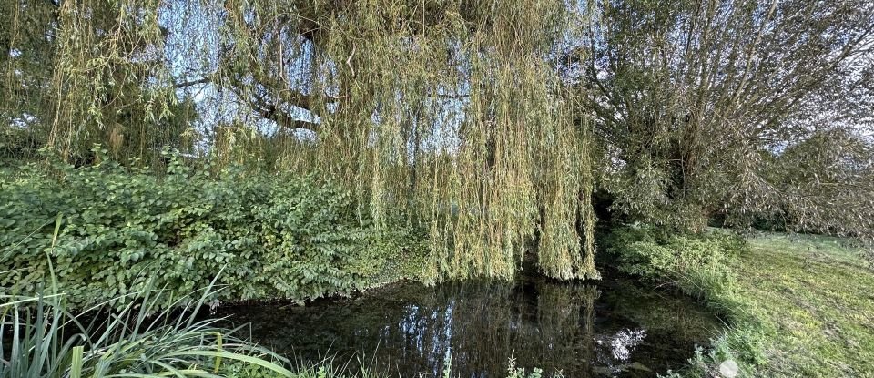 Maison de campagne 8 pièces de 157 m² à Celles-lès-Condé (02330)