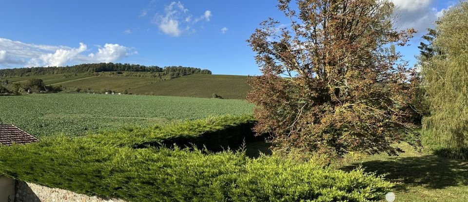 Maison de campagne 8 pièces de 157 m² à Celles-lès-Condé (02330)