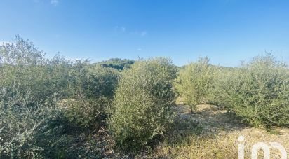 Agricultural land of 4,910 m² in Roquefort-des-Corbières (11540)