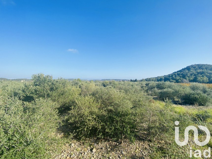 Terrain agricole de 4 910 m² à Roquefort-des-Corbières (11540)