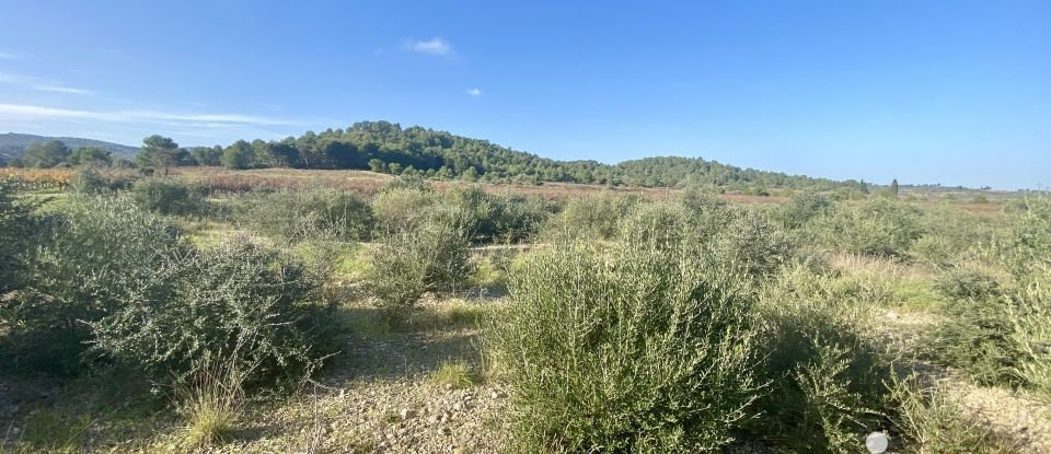 Terrain agricole de 4 910 m² à Roquefort-des-Corbières (11540)