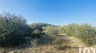 Agricultural land of 4,910 m² in Roquefort-des-Corbières (11540)