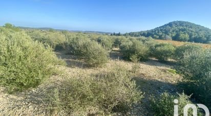 Agricultural land of 4,910 m² in Roquefort-des-Corbières (11540)