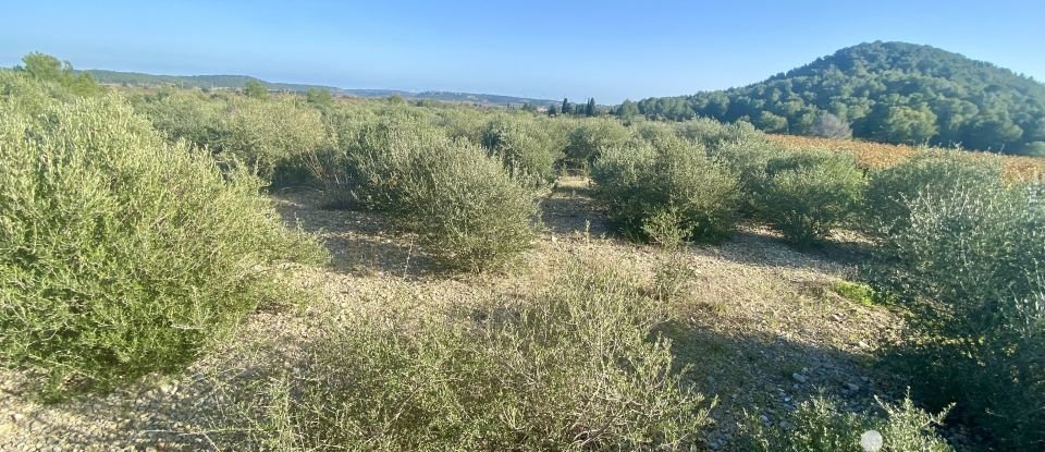 Terrain agricole de 4 910 m² à Roquefort-des-Corbières (11540)