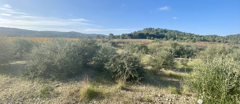 Terrain agricole de 4 910 m² à Roquefort-des-Corbières (11540)