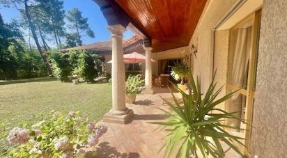 House 7 rooms of 233 m² in Ribaute-les-Tavernes (30720)