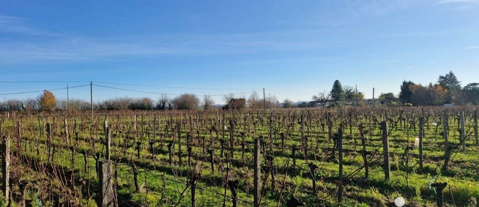 Demeure 10 pièces de 356 m² à Saint-Magne-de-Castillon (33350)