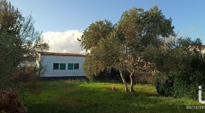 Traditional house 5 rooms of 125 m² in Sainte-Marie-de-Ré (17740)