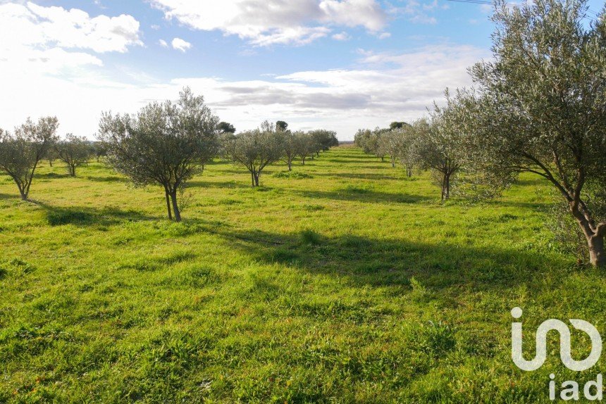 Agricultural land of 28,500 m² in Paulhan (34230)