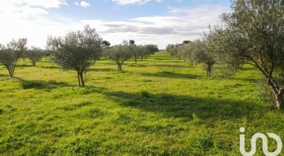 Terrain agricole de 28 500 m² à Paulhan (34230)