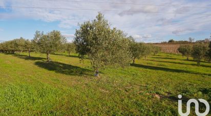 Terrain agricole de 28 500 m² à Paulhan (34230)