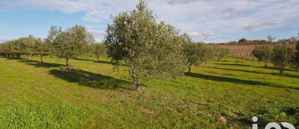 Agricultural land of 28,500 m² in Paulhan (34230)