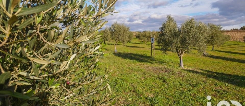 Agricultural land of 28,500 m² in Paulhan (34230)