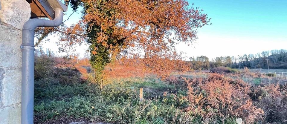 Country house 4 rooms of 133 m² in Bourgueil (37140)