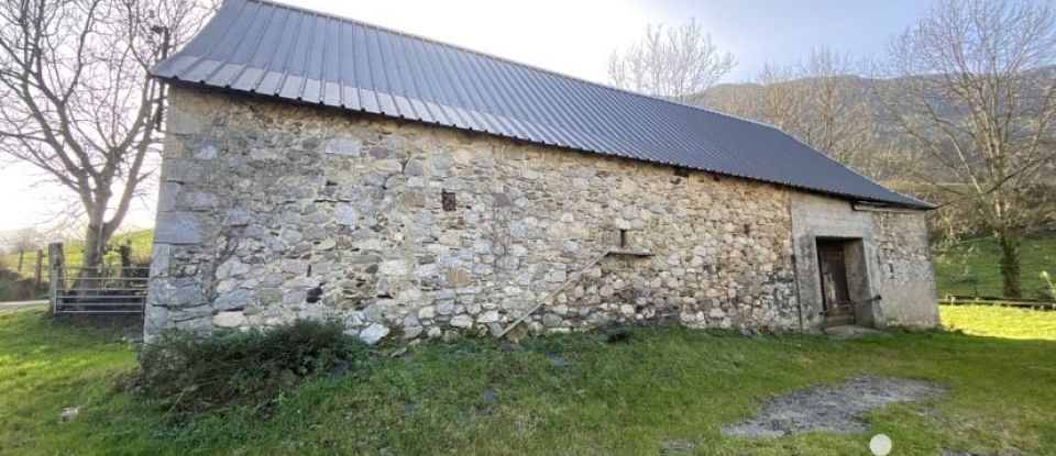 Maison traditionnelle 4 pièces de 101 m² à Lourdios-Ichère (64570)