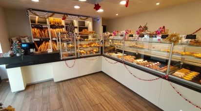 Bakery of 250 m² in Roquefort (40120)