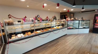 Bakery of 250 m² in Roquefort (40120)