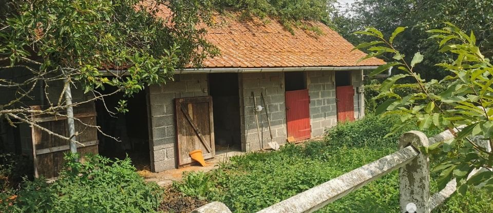 Ferme 7 pièces de 190 m² à Lecelles (59226)