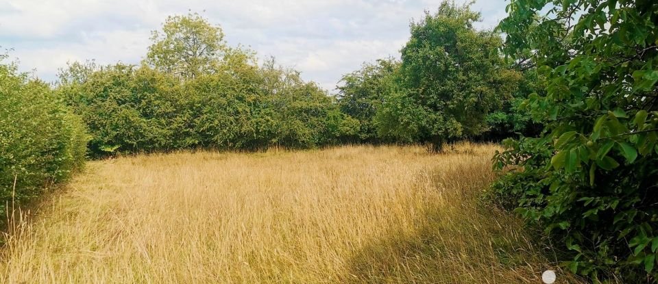 Ferme 7 pièces de 190 m² à Lecelles (59226)