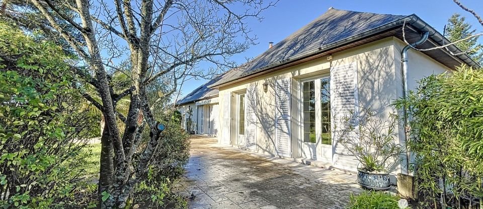 Maison traditionnelle 8 pièces de 241 m² à Montlouis-sur-Loire (37270)