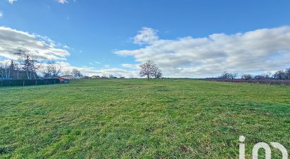 Land of 2,816 m² in - (03500)