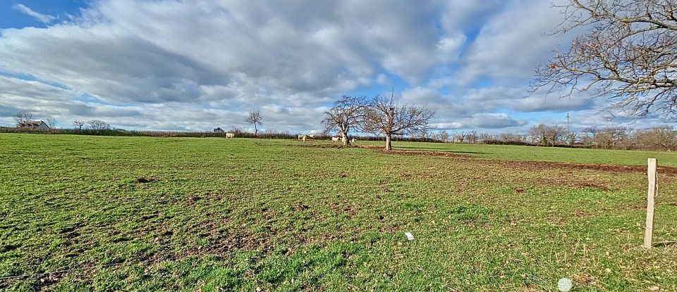 Terrain de 2 816 m² à - (03500)