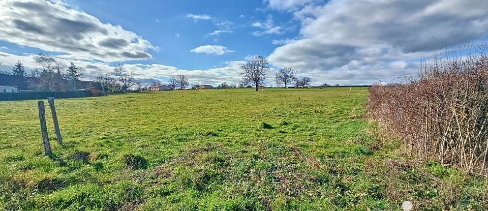 Terrain de 2 816 m² à - (03500)