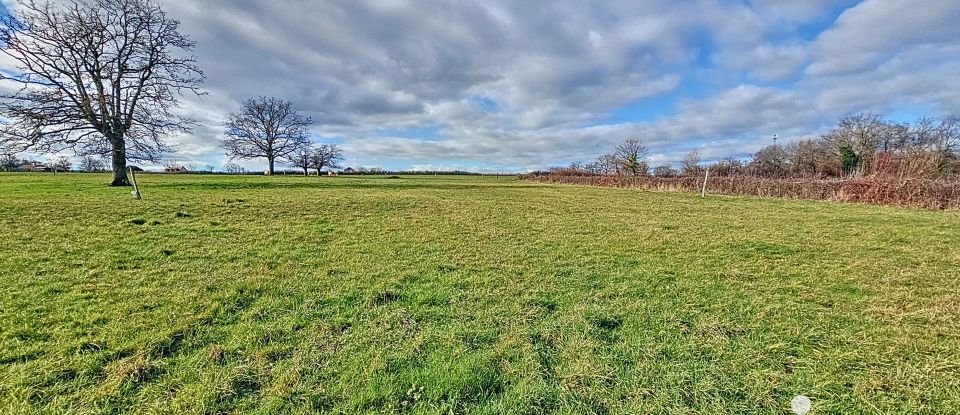 Terrain de 2 816 m² à - (03500)