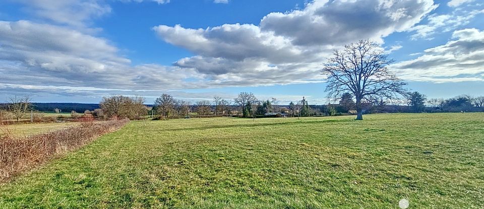 Terrain de 2 816 m² à - (03500)