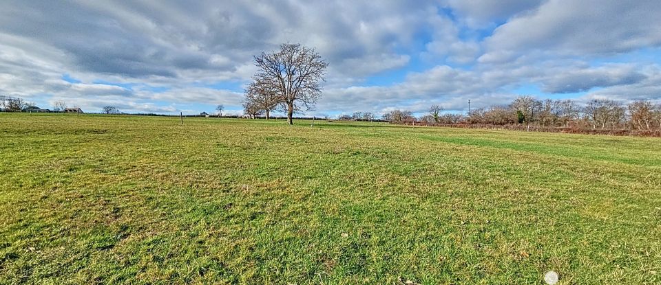 Terrain de 2 816 m² à - (03500)