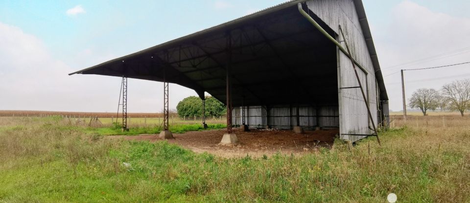 Maison 5 pièces de 212 m² à Mignères (45490)