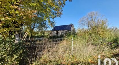 Maison traditionnelle 2 pièces de 40 m² à Saint-Père-sur-Loire (45600)