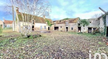 Traditional house 12 rooms of 180 m² in Saint-Benoît-sur-Loire (45730)