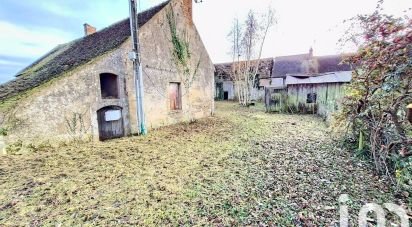 Traditional house 12 rooms of 180 m² in Saint-Benoît-sur-Loire (45730)