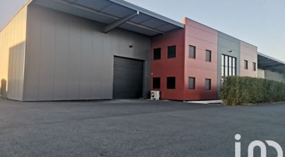 Immeuble de 1 219 m² à Gaillac (81600)