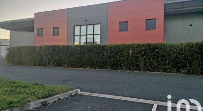 Immeuble de 1 219 m² à Gaillac (81600)